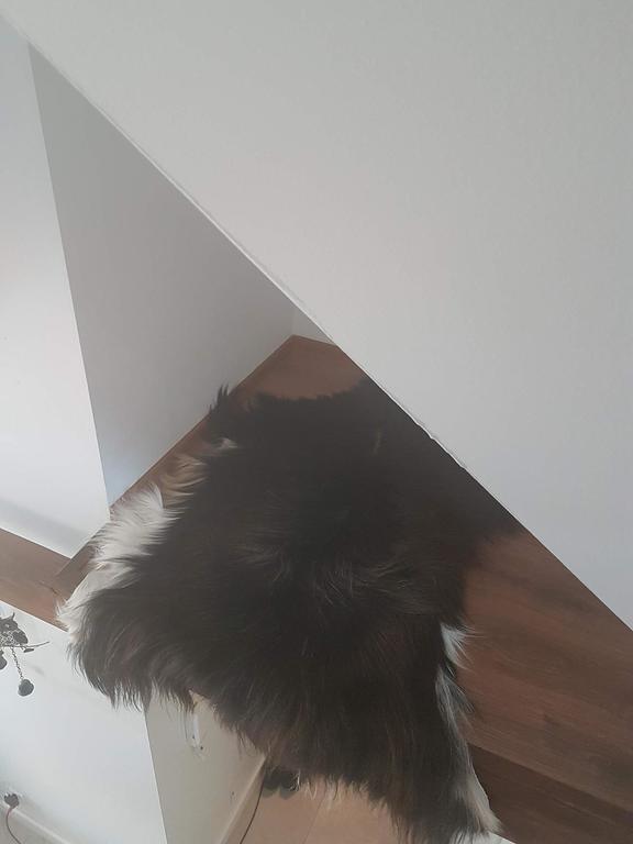 Apartament Palisander Kościelisko Buitenkant foto