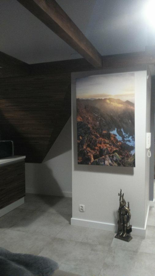Apartament Palisander Kościelisko Buitenkant foto